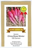 Rettich - Sommer- und Winterrettich - China Rose Winter (100 Samen) Foto, bester Preis 1,80 € neu 2024