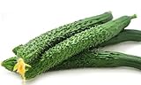 Cucumber Seeds for Planting Vegetables and Fruits-Asian Suyo Long Cucumber Plant Seeds,Burpless Non GMO Garden Seeds Vegetable Seeds,Oriental Chinese Cucumber Seeds-11ct Veggie Seeds China Long Hybrid Photo, best price $3.86 ($0.35 / Count) new 2024