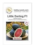 Melonensamen Little Darling F1 Wassermelone 50 Korn Foto, bester Preis 8,56 € neu 2024