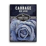 Survival Garden Seeds - Red Acre Cabbage Seed for Planting - Packet with Instructions to Plant and Grow Purple Cabbages in Your Home Vegetable Garden - Non-GMO Heirloom Variety Photo, best price $4.99 new 2024