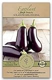 Gaea's Blessing Seeds - Eggplant Seeds (200 Seeds) Black Beauty Heirloom Non-GMO Seeds with Easy to Follow Planting Instructions - 92% Germination Rate Net Wt. 1.0g Photo, best price $5.99 new 2024