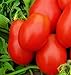Photo 250 Roma VF Tomato Seeds | Non-GMO | Heirloom | Instant Latch Garden Seeds | Vegetable Seeds