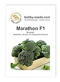 Kohlsamen Marathon F1 Broccoli Portion Foto, bester Preis 2,30 € neu 2024