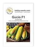 Gemüsesamen Gucio F1 Zuckermais Portion Foto, bester Preis 2,35 € neu 2024