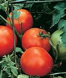 Burpee Celebrity' Hybrid | Slicing Red Tomato | Disease-Resistant, 35 Seeds Photo, best price $7.17 ($0.20 / Count) new 2024