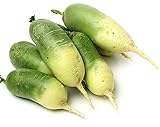 David's Garden Seeds Radish Green Luobo Improved 5453 (Green) 200 Non-GMO, Open Pollinated Seeds Photo, best price $3.95 new 2024