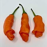 Wayland Chiles Peter Pepper Seeds (Red) Photo, best price $4.00 new 2024