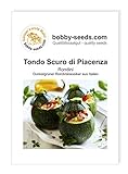 Kürbissamen Tondo Scuro di Piacenza Zucchini Portion Foto, bester Preis 1,75 € neu 2024