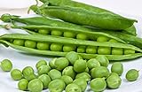 25 Cascadia Pea Seeds | Non-GMO | Heirloom | Fresh Garden Seeds Photo, best price $5.95 new 2024