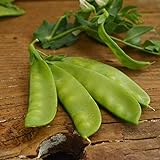 Oregon Sugar Pod II Snow Pea - 50 Seeds - Heirloom & Open-Pollinated Variety, Easy-to-Grow & Cold-Tolerant, Non-GMO Vegetable Seeds for Planting Outdoors in The Home Garden, Thresh Seed Company Photo, best price $7.99 ($0.16 / Count) new 2024