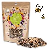 500g Blumenwiese Samen für eine bunte Bienenweide - Farbenfrohe & nektarreiche Wildblumensamen Mischung für Bienen & Schmetterlinge (inkl. GRATIS eBook) Foto, bester Preis 19,90 € (39,80 € / kg) neu 2024