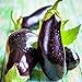 Photo Eggplant Seed, Black Beauty, Heirloom, Non GMO, 50 Seeds, Vegetable
