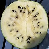 Cream of Saskatchewan Heirloom Watermelon (Certified Organic Seeds) by Stonysoil Seed Company Photo, best price $7.95 new 2024
