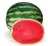 Crimson Sweet Heirloom Watermelon Seeds Photo, best price $8.99 ($0.15 / Count) new 2024