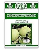 Honeydew Melon Seeds - 50 Seeds Non-GMO Photo, best price  new 2024