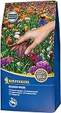 Kiepenkerl Prairie de fleurs Kbb 1 kg Photo, meilleur prix 24,42 € (24,42 € / kg) nouveau 2024