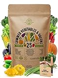 25 Summer Vegetable Garden Seeds Variety Pack for Planting Outdoors and Indoor Home Gardening 2500+ Non-GMO Heirloom Veggie & Salad Green Seeds: Collards Tomato Pepper Okra Onion Bean Cucumber & More Photo, best price $21.99 ($0.88 / Count) new 2024
