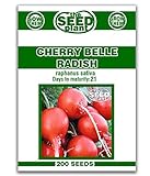 Cherry Belle Radish Seeds - 200 Seeds Non-GMO Photo, best price $1.59 new 2024