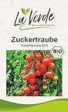 Zuckertraube BIO Tomatensamen Foto, bester Preis 3,25 € neu 2024