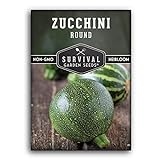 Survival Garden Seeds - Round Zucchini Seed for Planting - Pack with Instructions to Plant and Grow Small Green Zucchinis in Your Home Vegetable Garden - Non-GMO Heirloom Variety Photo, best price $4.99 new 2024