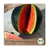 Samenliebe BIO Wassermelonen Samen Sugar Baby besonders süße und saftige Melone rund rot 10 Samen samenfestes Gemüse Saatgut für Gewächshaus Freiland und Balkon BIO Gemüsesamen Foto, bester Preis 3,39 € neu 2024