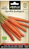 Semillas Ecológicas Hortícolas - Zanahoria Nantesa 5 - ECO - Batlle Foto, mejor precio 1,76 € nuevo 2024