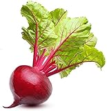 Ruby Queen Beet Seeds | Beet Seeds for Planting Outdoor Gardens | Heirloom & Non-GMO | Planting Instructions Included Photo, best price $6.95 ($32.94 / Ounce) new 2024