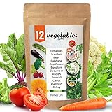 Heirloom Vegetable Seeds -100% Non-GMO - 1000 Garden Seeds Survival Pack - Tomato, Broccoli, Carrot, Celery, Cucumber Seeds and More Photo, best price $11.98 new 2024