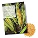 Foto BIO Zuckermais Samen (Golden Bantam, 30 Korn) - Mais Saatgut aus biologischem Anbau ideal für die Anzucht im Garten, Balkon oder Terrasse