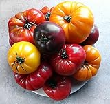 This is A Mix!!! 30+ Rainbow Deluxe Tomato Seeds Mix 16 Varieties, Heirloom Non-GMO, Indeterminate, Old German, Chocolate Stripes, Ukrainian Purple, Amish Paste USA Photo, best price $5.69 new 2024
