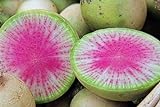 100 Radis Melon d'eau des graines de radis très unique Photo, meilleur prix 4,59 € nouveau 2024