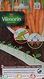 3 Cintas biodegradables Vilmorin 525 semillas de ZANAHORIA (cultivo fácil) Foto, mejor precio 9,61 € nuevo 2024