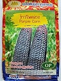 Thai Purple Waxy Glutinous Corn Seeds Photo, best price $6.99 ($13.19 / Ounce) new 2024