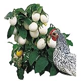Park Seed Easter Egg Plant Seeds Photo, best price $7.95 new 2024