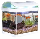 Sweetypet Aquarium: Transport-Fischbecken mit Filter, LED-Beleuchtung und USB, 3,3 Liter (Mini Aquarium) Foto, bester Preis 34,99 € neu 2024