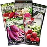 Sow Right Seeds - Radish Seed Collection for Planting - Champion, Watermelon, French Breakfast, China Rose, and Minowase (Diakon) Varieties - Non-GMO Heirloom Seed to Plant a Home Vegetable Garden Photo, best price $10.99 new 2024