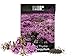 Photo 1,000 Creeping Thyme Seeds for Planting - Heirloom Non-GMO Ground Cover Seeds - AKA Breckland Thyme, Mother of Thyme, Wild Thyme, Thymus Serpyllum - Purple Flowers