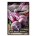 Photo Sow Right Seeds - Detroit Dark Red Beet Seed for Planting - Non-GMO Heirloom Packet with Instructions to Plant a Home Vegetable Garden - Great Gardening Gift (1)
