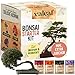 Foto valeaf Bonsai Starter Kit - SUMMER SALE - Züchten Sie Ihren eigenen Bonsai Baum - Anzuchtset inkl. 4 Sorten Bonsai Samen & Zubehör - für Anfänger - das ideale Geschenk zum Baum pflanzen