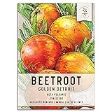 Seed Needs, Golden Detroit Beet (Beta vulgaris) Single Package of 250 Seeds Non-GMO Photo, best price $5.85 new 2024