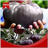 Portal Cool 100pcs / bolsa de carne de vaca gigante Negro híbridos de tomate Semillas orgánicos de la herencia del jardín del tomate Foto, mejor precio 4,99 € nuevo 2024