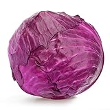Red Acre Cabbage Seeds, 250 Heirloom Seeds Per Packet, Non GMO Seeds, Botanical Name: Brassica oleracea VAR. capitata f. rubra, Isla's Garden Seeds Photo, best price $5.25 ($0.02 / Count) new 2024