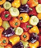 Burpee Carnival Mix Sweet Pepper Seeds 100 seeds Photo, best price $8.01 new 2024