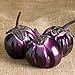 Photo David's Garden Seeds Eggplant Barbarella (Purple) 25 Non-GMO, Hybrid Seeds