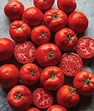 Burpee Big Boy' Hybrid Large Slicing Red Tomato Rich Flavor, 50 seeds Photo, best price $8.63 ($0.17 / Count) new 2024
