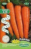 Germisem Flakkee Semillas de Zanahoria en Cinta de 6 m Foto, mejor precio 4,91 € nuevo 2024