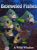Bejeweled Fishes Photo, best price $2.99 new 2024
