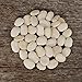 Photo Henderson's Bush Lima Bean - 50 Seeds - Heirloom & Open-Pollinated Variety, USA-Grown, Non-GMO Vegetable/Dry Bean Seeds for Planting Outdoors in The Home Garden, Thresh Seed Company