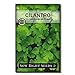 Photo Sow Right Seeds - Cilantro Seed - Non-GMO Heirloom Seeds with Full Instructions for Planting an Easy to Grow herb Garden, Indoor or Outdoor; Great Gift (1 Packet)
