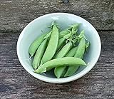 Pea Seed, Sugar Snap Pea, Heirloom, Non GMO, 50 Seeds, Perfect Peas, Country Creek Acres Photo, best price $2.99 ($0.06 / Count) new 2024
